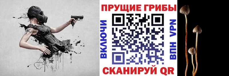 Псилоцибиновые грибы Magic Shrooms  Купить  Городище 